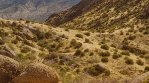 Desert mountain trail