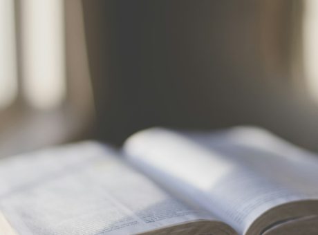 Open Bible in soft window light